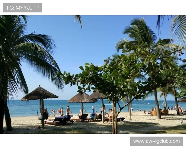 围绕足球佛蓝迪森探寻绿茵传奇与心路历程全面解析成长轨迹魅力